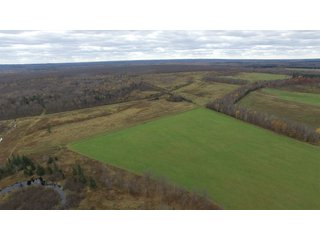 Property photo 8 - REAL ESTATE AUCTION - 1,428+/- ACRES OFFERED IN 10 TRACTS IN PRICE CO., WI